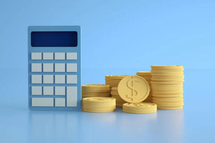 How Cash Plays a Role in a Portfolio